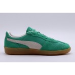 Puma Palermo Vintage Unisex Sneakers Πράσινα, Λευκά, Καφέ