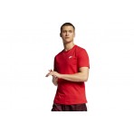 Nike Sportswear Club T-Shirt (AR4997 657)