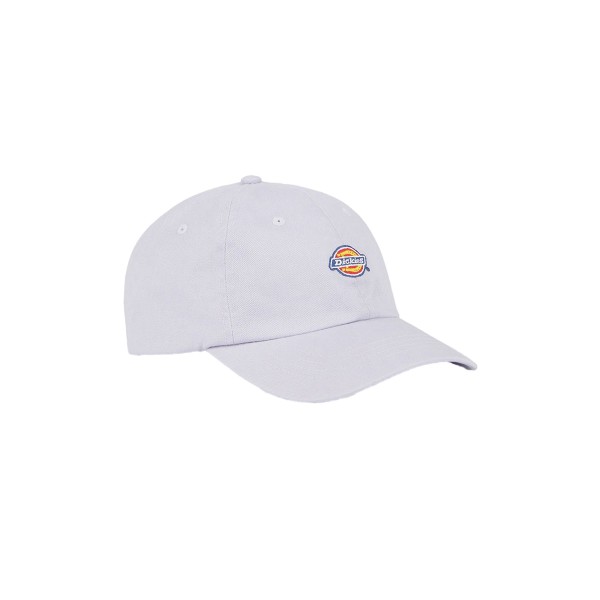 Dickies Hardwick Καπέλο Snapback (DK0A4TKVH181)