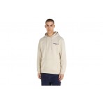 Tommy Jeans Tjm Reg Entry Graphic Hoodie Ανδρικό (DM0DM17781 ACG)