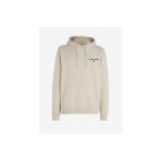 Tommy Jeans Tjm Reg Entry Graphic Hoodie Ανδρικό (DM0DM17781 ACG)