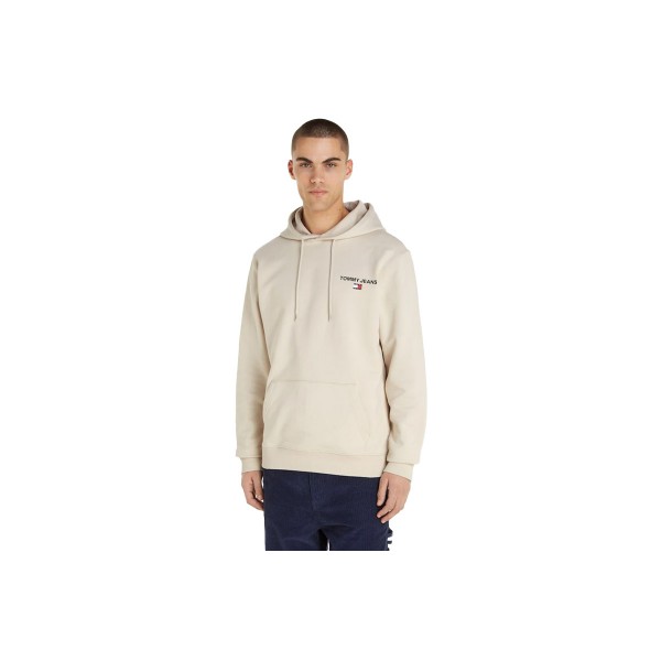 Tommy Jeans Tjm Reg Entry Graphic Hoodie Ανδρικό (DM0DM17781 ACG)