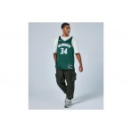 Nike Milwaukee Bucks Φανέλα Γιάννης Αντετοκούνμπο Icon Edition