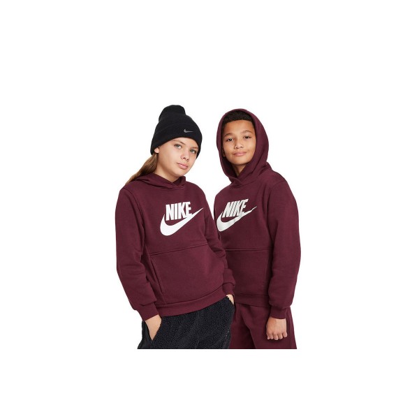 Nike Hoodie (FD2988 681)