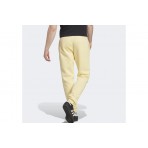 Adidas Originals Essentials Pant (IA4831)