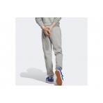 Adidas Originals Essentials Pants Παντελόνι Φόρμας Ανδρικό (IA4833)