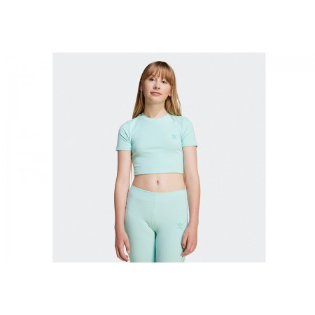 Adidas Originals Rib Crop Top Κοντομάνικο 