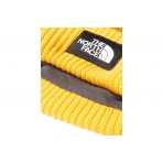 The North Face Salty Dog Lined Beanie Σκουφάκι Χειμερινό (NF0A3FJW56P1)