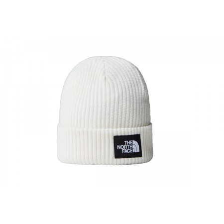 The North Face Salty Lined Beanie Σκουφάκι Χειμερινό 