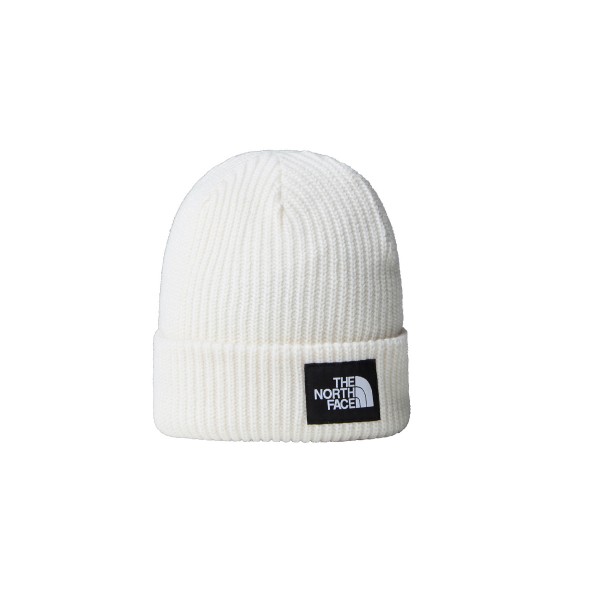 The North Face Salty Lined Beanie Σκουφάκι Χειμερινό (NF0A3FJWQLI1)